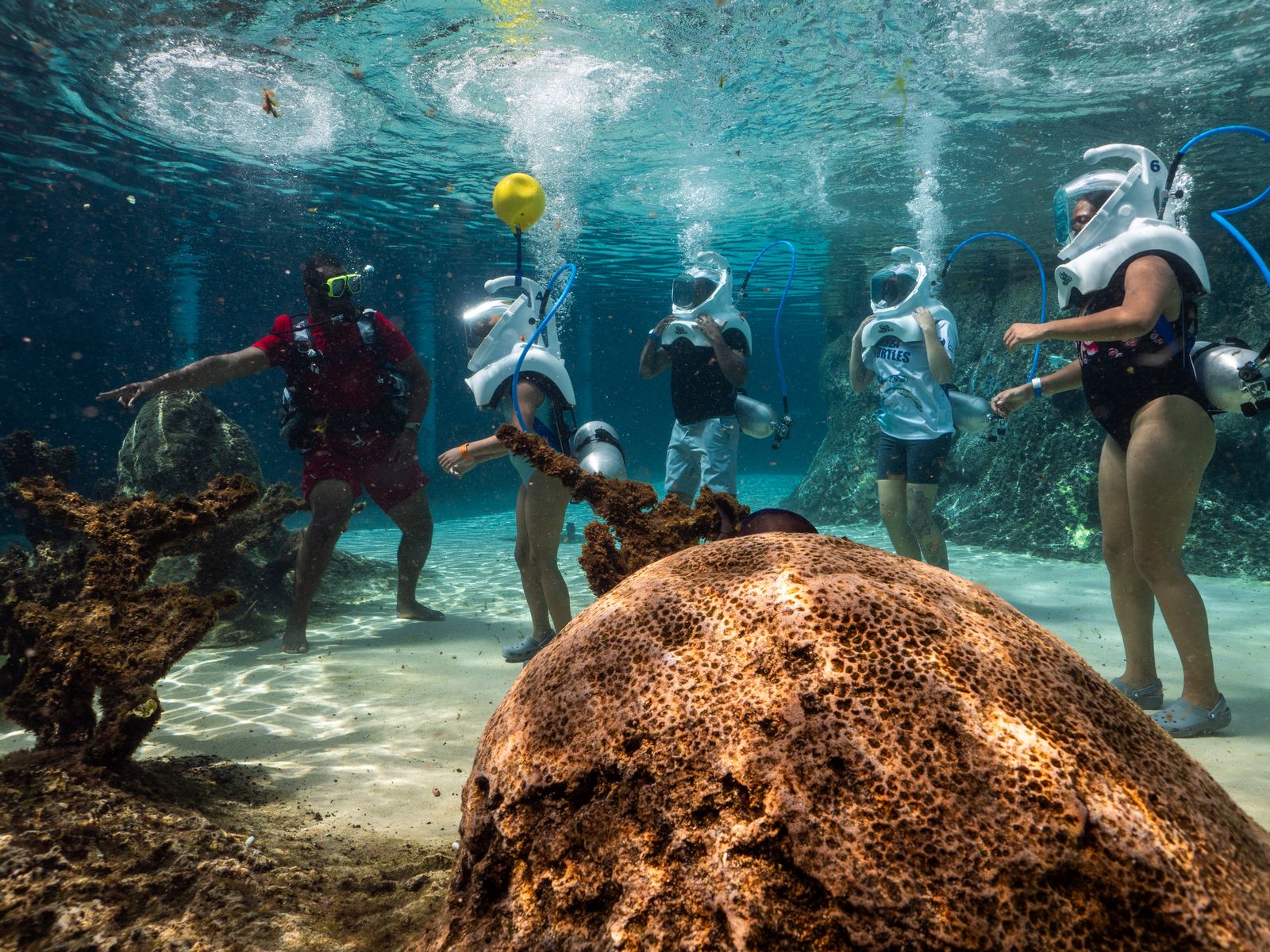 Sea-trek-group-underwater-photo-1