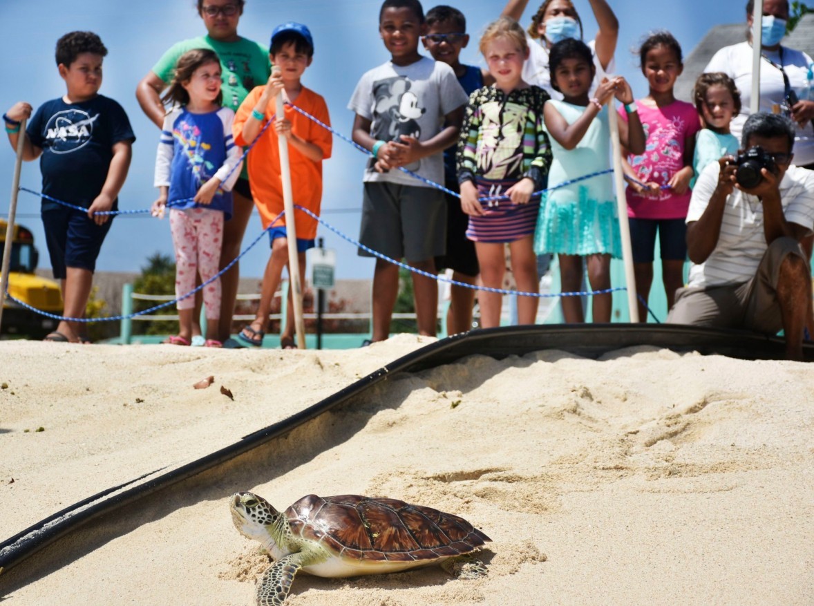 11810881638737402459890263347875991197182309o