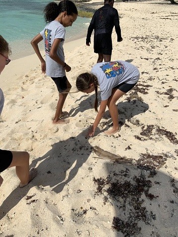 All-the-Power-to-Our-Battalion-of-Young-Turtle-Rangers