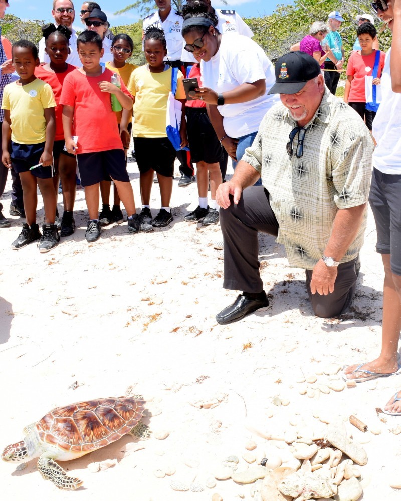 CaymanBracTurtleRelease4