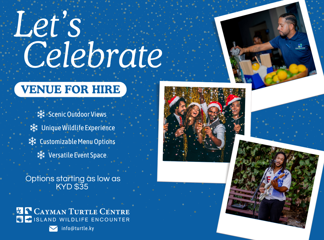 Christmas Parties Green-and-Beige-Venue-Rental-Promotion-Instagram-Post-1080-x-800-px
