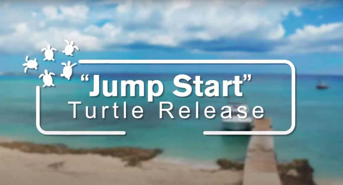 Jump-Start Release Jum-Start