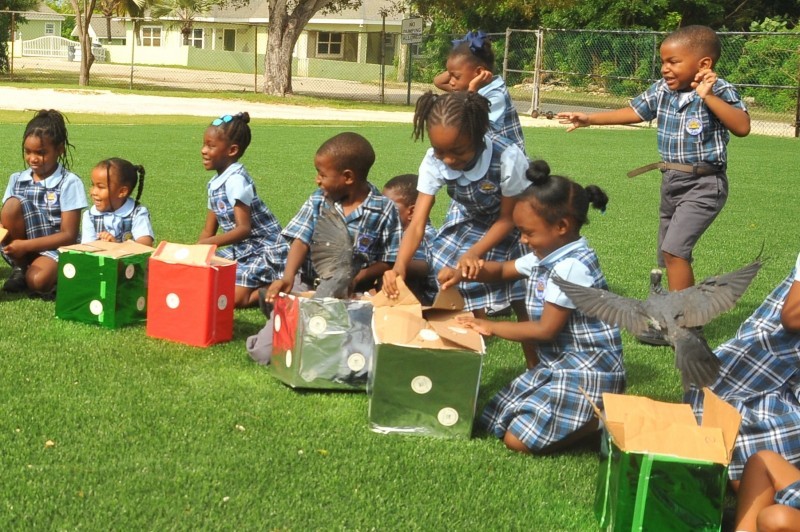 East End Primary Students Release White-crowned Pigeons Thechildrenreleasethepigeonsfromtheirboxes