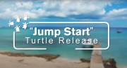 Jump-Start Release Jum-Start