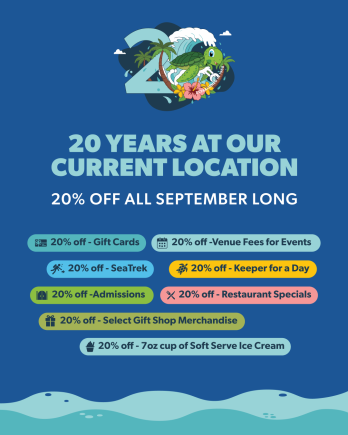 20 Years at Our Current Location 20% Off All September Long
