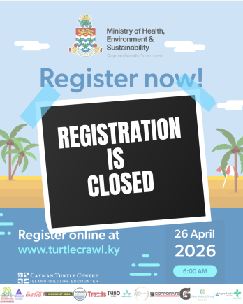 Turtle Crawl 5k Registrations are closed