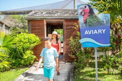 Caribbean-Aviary-002