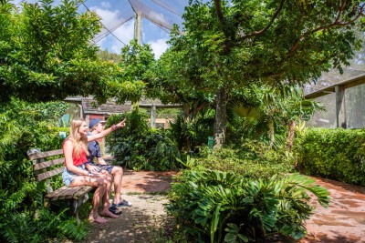 Caribbean-Aviary-003