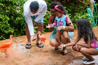 Caribbean-Aviary-009