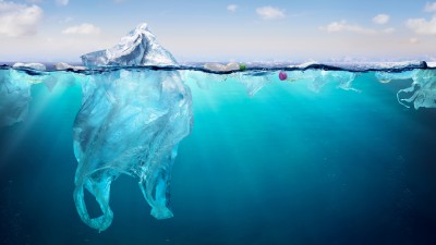 Cayman-Turtle-Centre-6