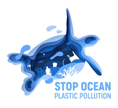 square-blue-turtle-Converted