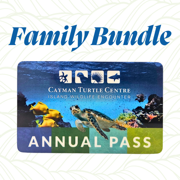 Family Bundle: Annual Pass Gift Set