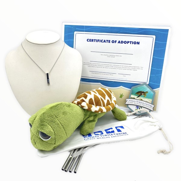 Symbolic Turtle Adoption with Swarovski Necklace Gift Package