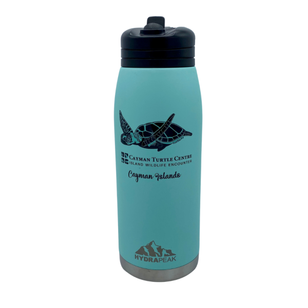 Water Bottle with Straw - Mint Green