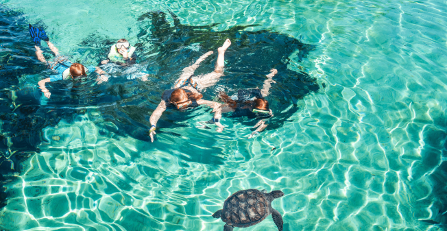Turtle Adventure Turtle-Adventure-Tour-min